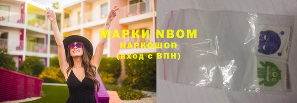 прущие грибы Липки