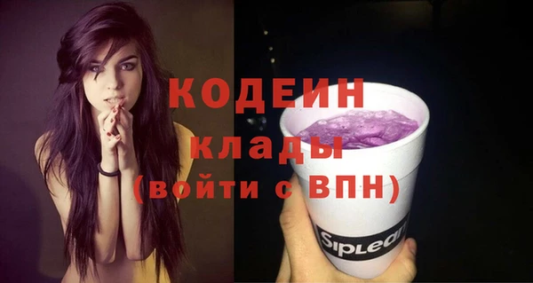 прущие грибы Липки