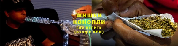 прущие грибы Лиски
