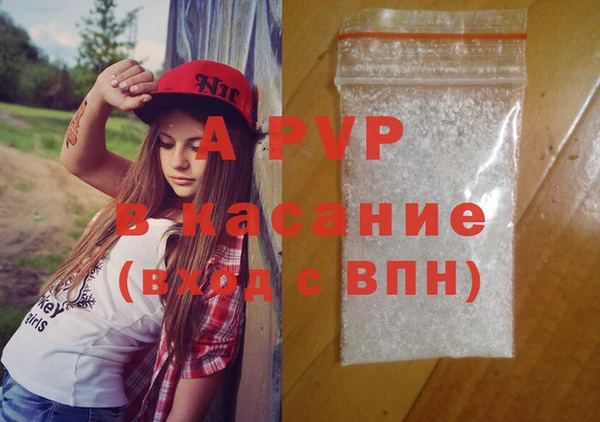 прущие грибы Липки