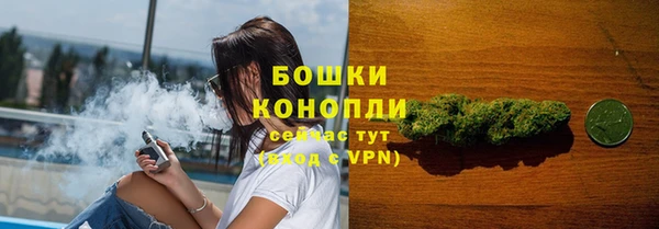 прущие грибы Липки